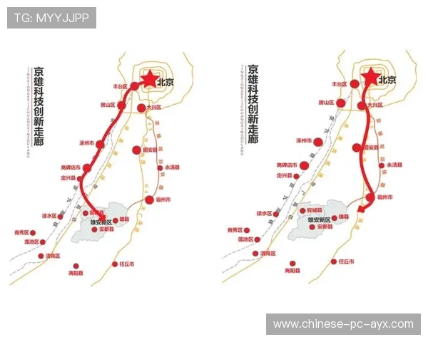 产业链上下游协同创新，共同构建体育直播新生态